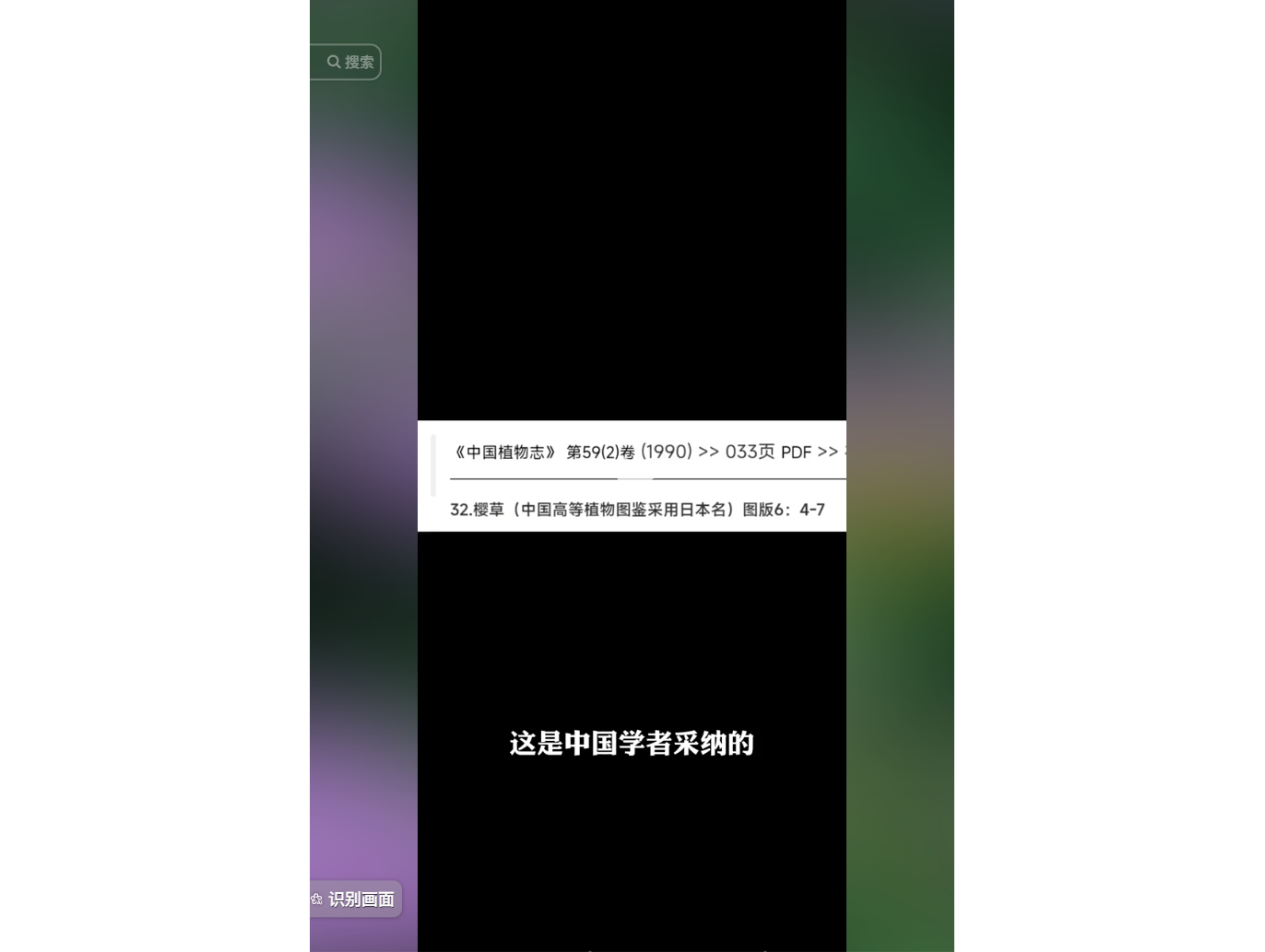 《中国植物志》中关于樱草的文献引用截图