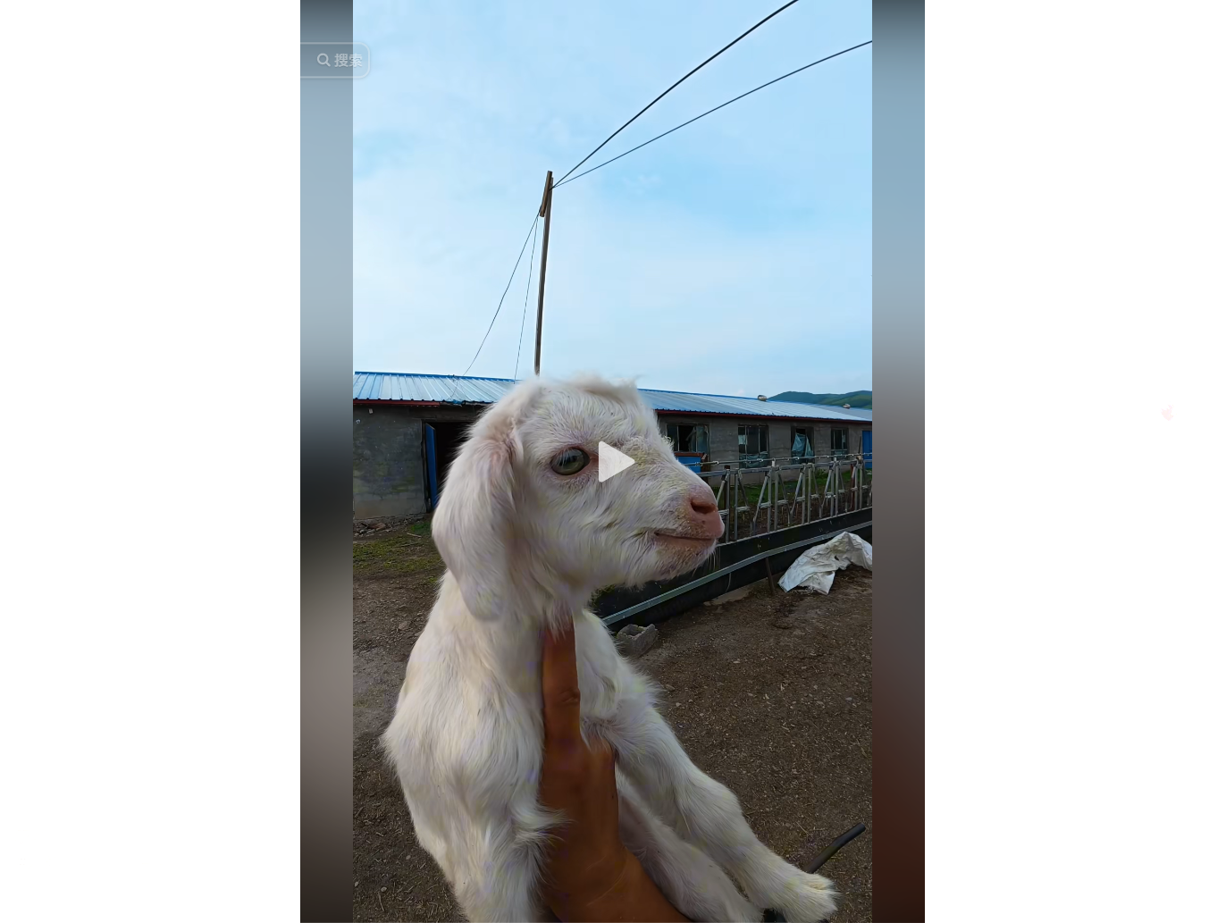 A person holds a white goat kid outdoors near a ru