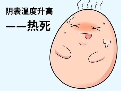 久坐、精子、睾丸