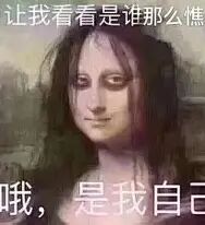 "蒙娜丽莎黑眼圈搞笑表情包 让我看看是谁那么憔悴哦是我自己".webp