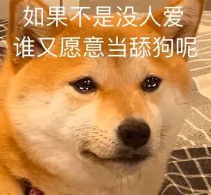 "柴犬含泪表情包 如果不是没人爱谁又愿意当舔狗呢".webp