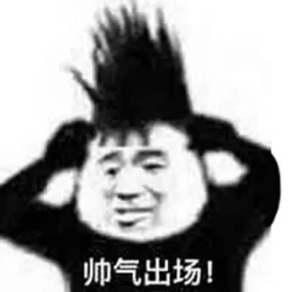 "熊猫头表情包，头顶竖起爆炸发型，配文字帅气出场搞笑沙雕图".webp