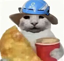 诙谐猫咪表情包，头戴遮阳帽与外卖头盔，用于男生发型吐槽与自嘲的氛围配图.webp